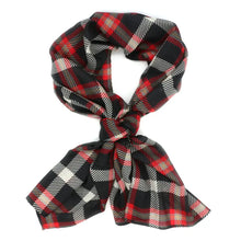 Load image into Gallery viewer, Northeastern Scarf - Straight Scarf