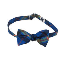 Load image into Gallery viewer, Notre Dame Bow Tie - Silk Self-Tie - Bowtie