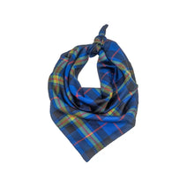 Load image into Gallery viewer, Notre Dame Handkerchief Scarf - Handkerchief Scarf