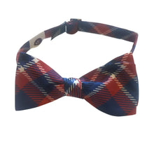 Load image into Gallery viewer, Penn Bow Tie - Silk Self-Tie - Bowtie