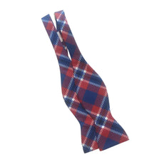 Load image into Gallery viewer, Penn Bow Tie - Silk Self-Tie - Bowtie