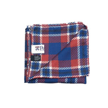 Load image into Gallery viewer, Penn Handkerchief Scarf - Handkerchief Scarf