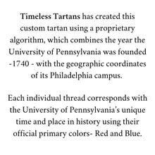 Load image into Gallery viewer, Penn Iconic Image Blanket - Iconic Image Blanket