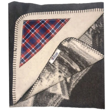 Load image into Gallery viewer, Penn Iconic Image Blanket - Iconic Image Blanket