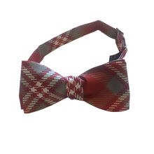 Load image into Gallery viewer, Phillips Exeter Bow Tie - Bowtie