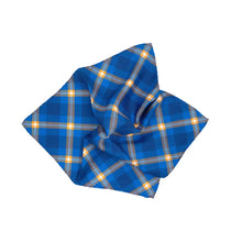 Load image into Gallery viewer, Pingry Pocket Square - Silk - Pocket Square