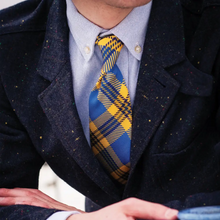 Load image into Gallery viewer, Pitt Tie - Silk - Tie