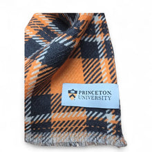 Load image into Gallery viewer, Princeton Wool Scarf - Wool Scarf