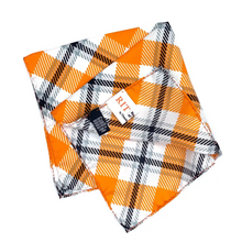 Load image into Gallery viewer, RIT Pocket Square - Silk - Pocket Square