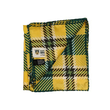 Load image into Gallery viewer, SUNY Brockport Handkerchief Scarf - Handkerchief Scarf