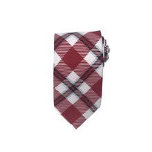 Load image into Gallery viewer, Temple Tie - Silk - Tie