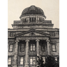 Load image into Gallery viewer, Texas A&amp;M Iconic Image Blanket - Iconic Image Blanket