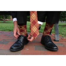 Load image into Gallery viewer, Texas State Tie - Silk - Tie