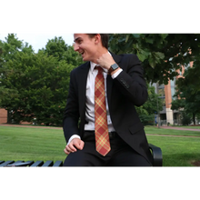 Load image into Gallery viewer, Texas State Tie - Silk - Tie