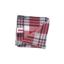 Load image into Gallery viewer, Wisconsin Handkerchief Scarf - Handkerchief Scarf