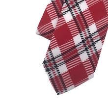 Load image into Gallery viewer, Wisconsin Tie - Silk - Tie