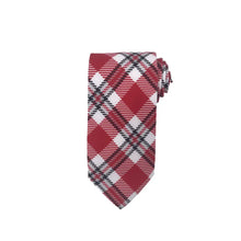 Load image into Gallery viewer, Wisconsin Tie - Silk - Tie