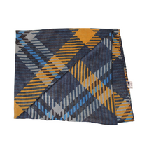 Load image into Gallery viewer, Lycoming Fashion Scarf