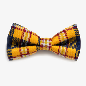 Drexel Bow Tie