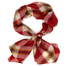 Load image into Gallery viewer, Houston Fashion Scarf