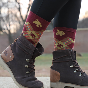 Texas State Socks